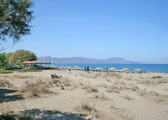 Olive Tree Farm 200M From The Beach