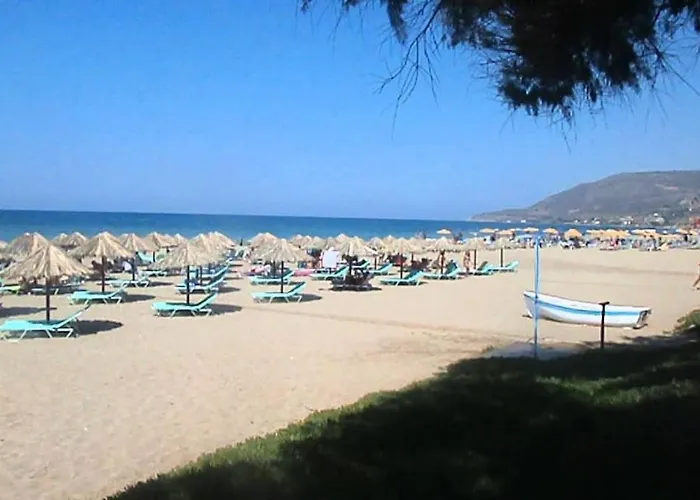 Olive Tree Farm 200M From The Beach