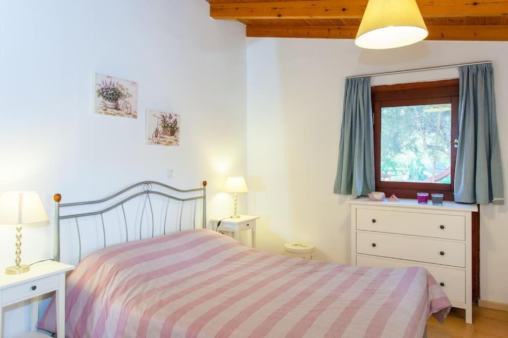 Olive Tree Farm 200m From The Holiday home *