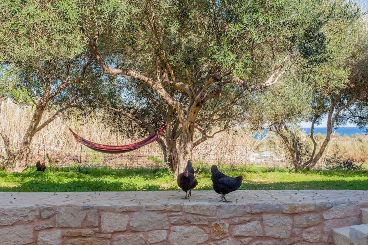 Holiday home Olive Tree Farm 200m From The