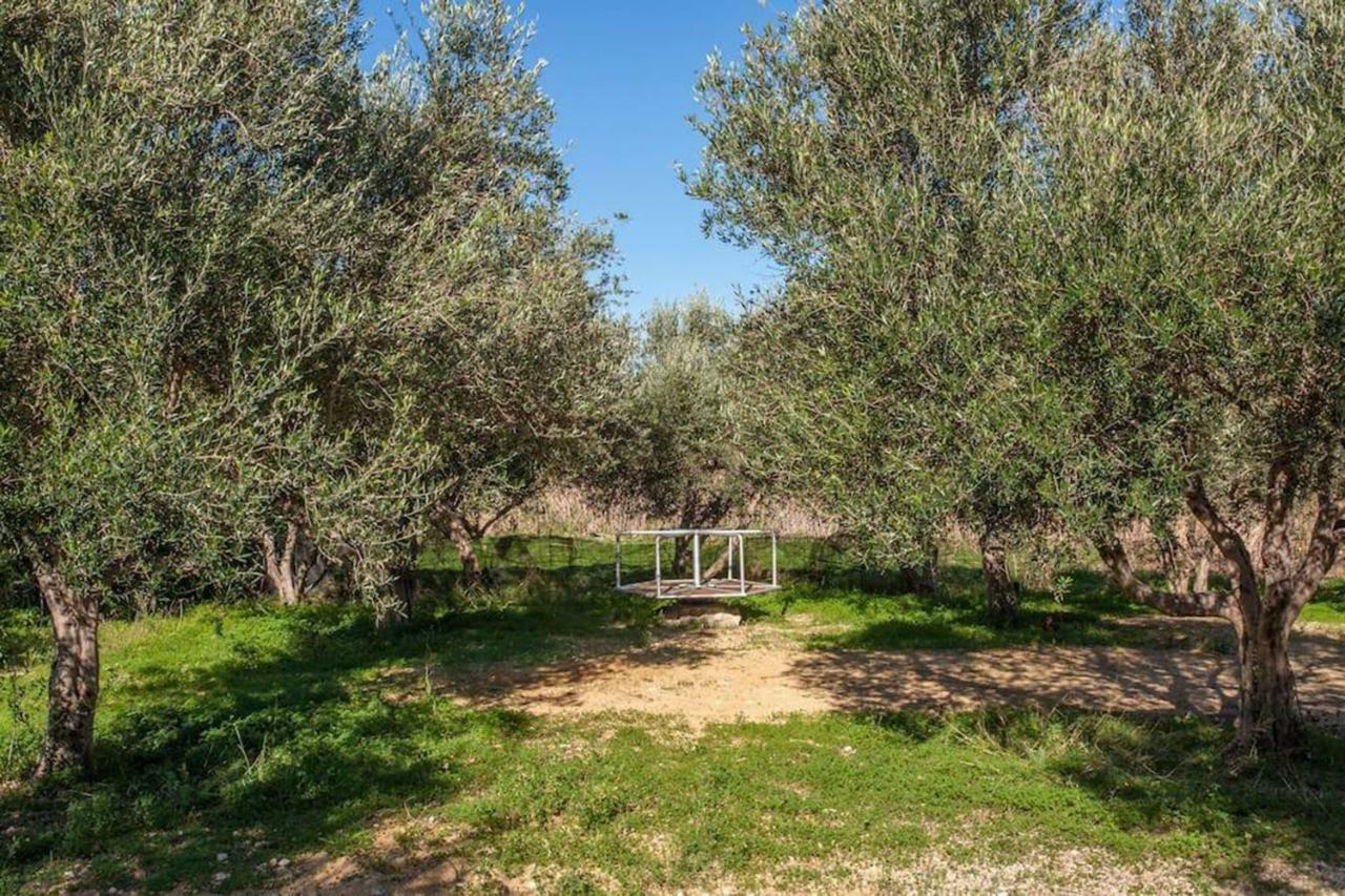 Olive Tree Farm 200m From The * Episkopi (Rethymno)